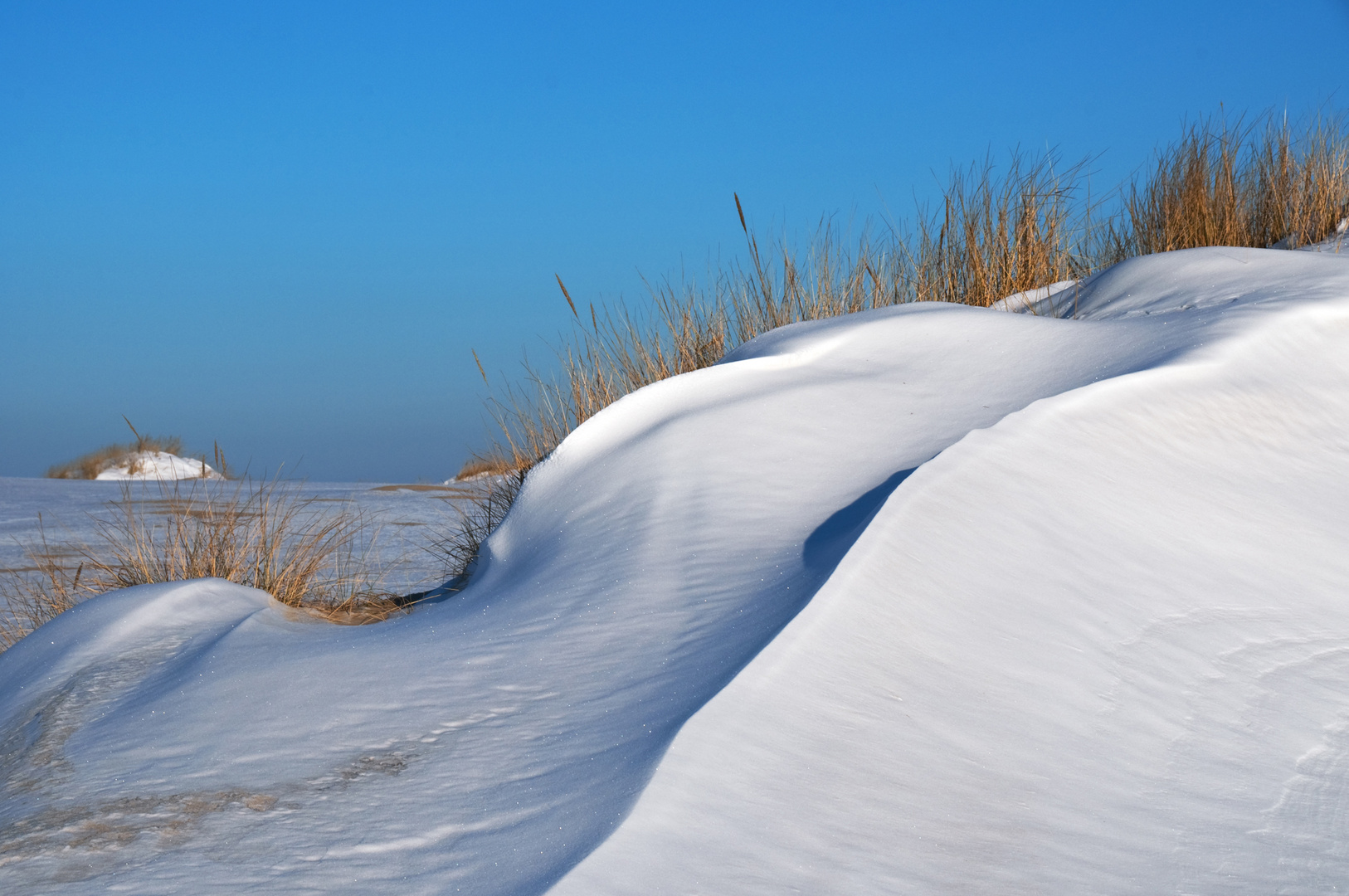 in den Dünen von Sylt II