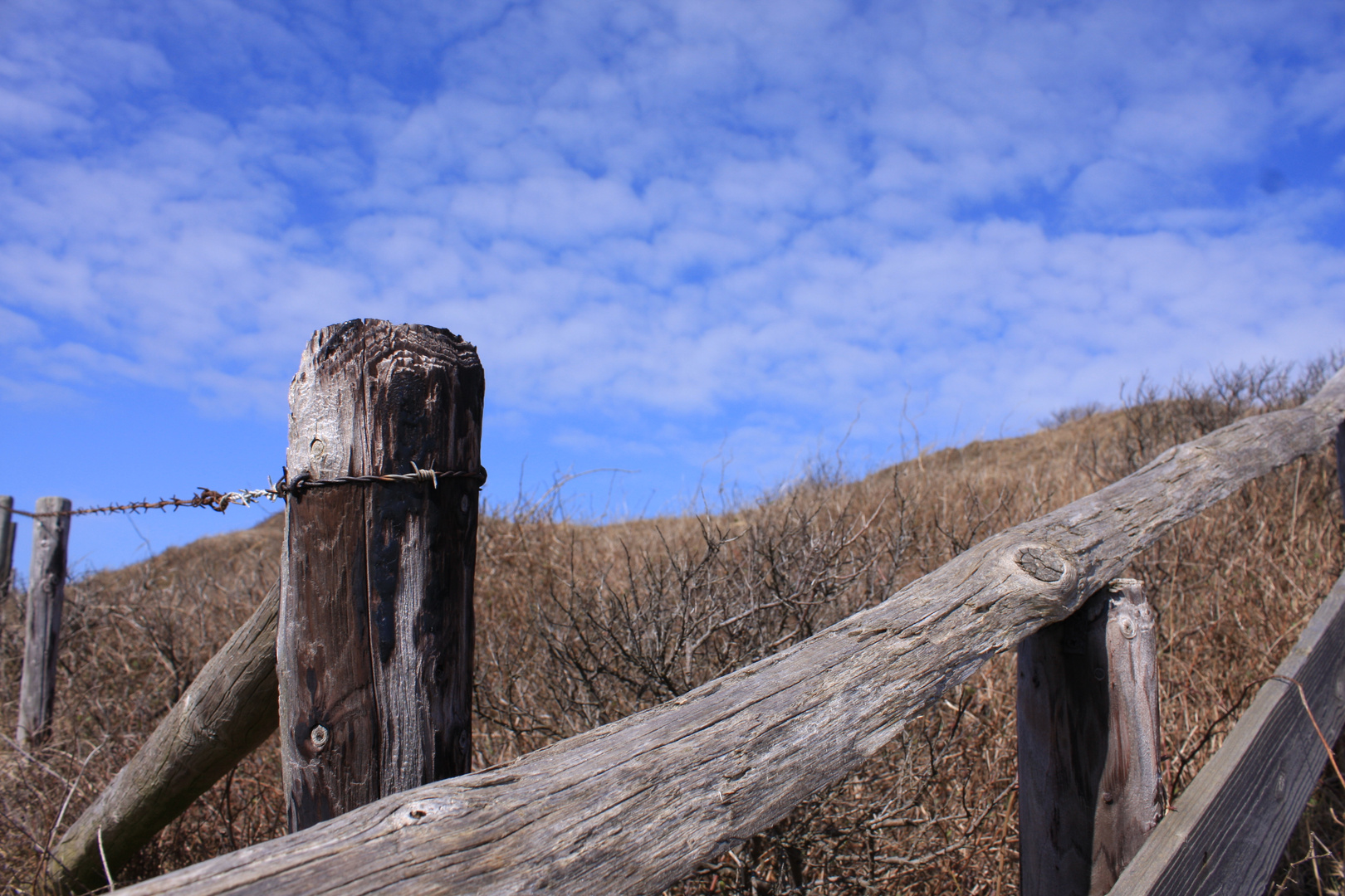 In den Dünen von Texel