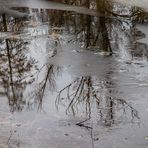 In den Eisresten