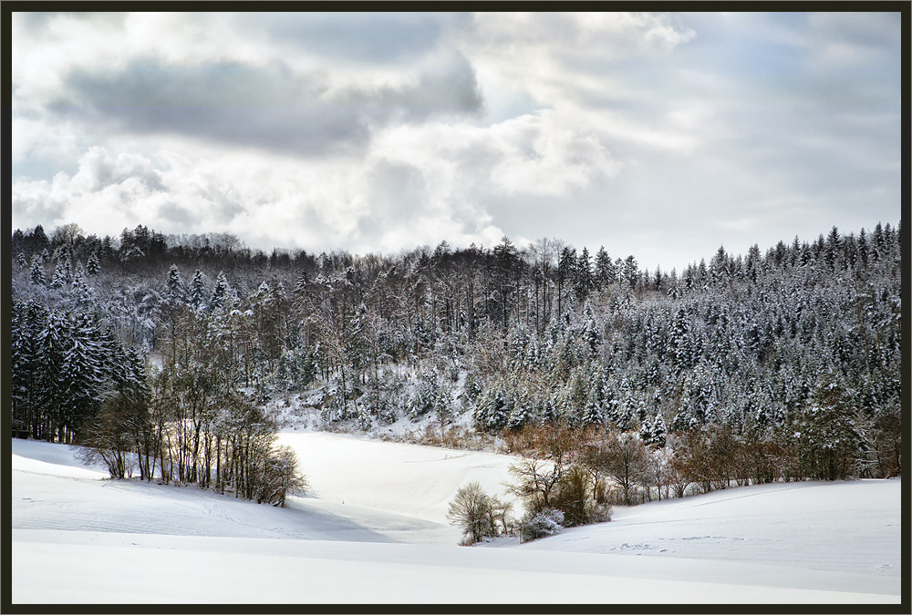 In den Farben des Winters