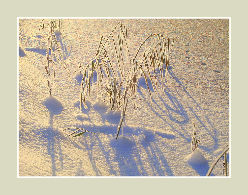 In den Farben eines ganz frühen Morgens