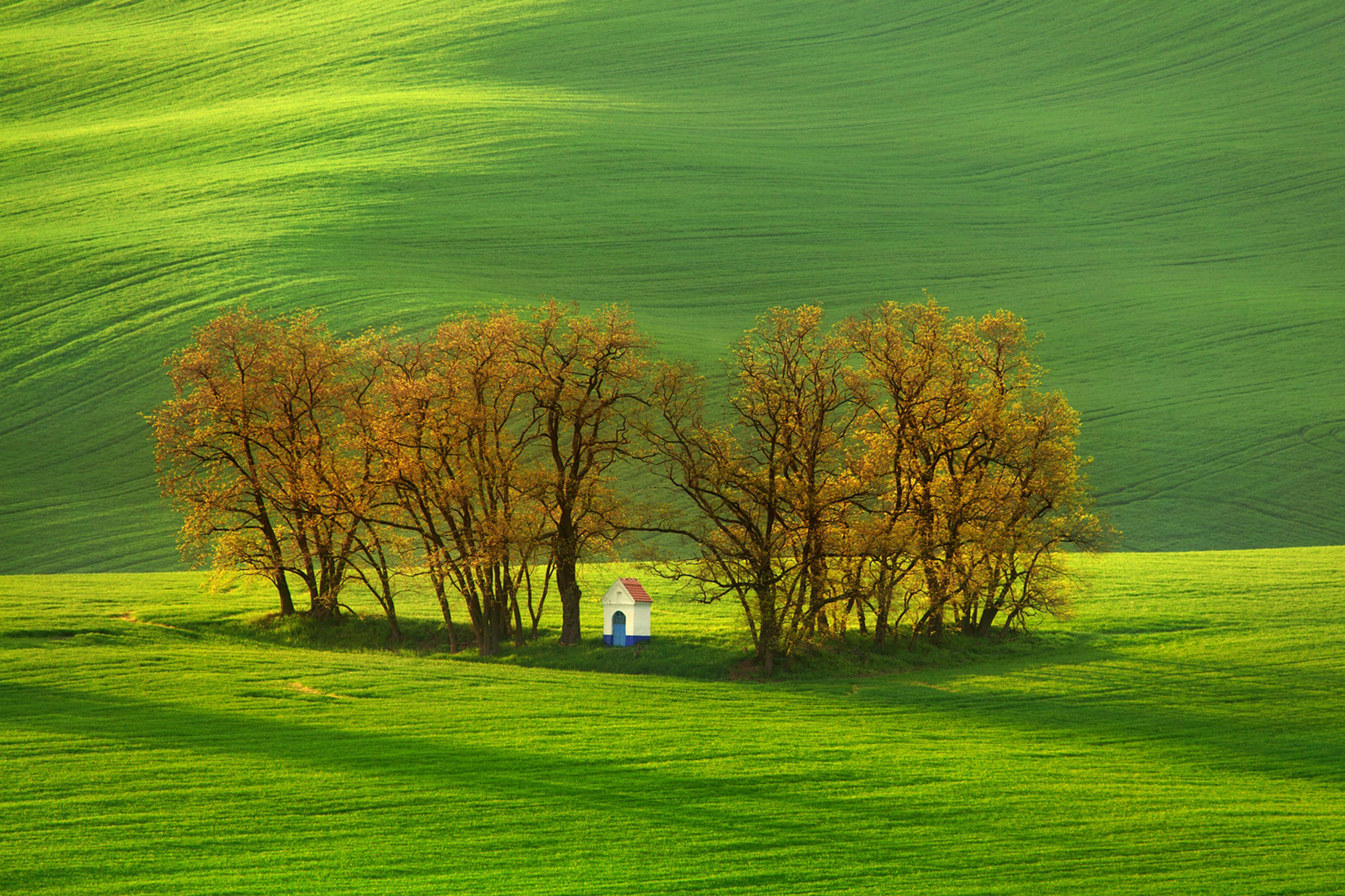 In den Feldern | Aus unserem Workshop FRÜHLING IN SÜDMÄHREN