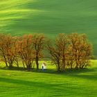 In den Feldern | Aus unserem Workshop FRÜHLING IN SÜDMÄHREN