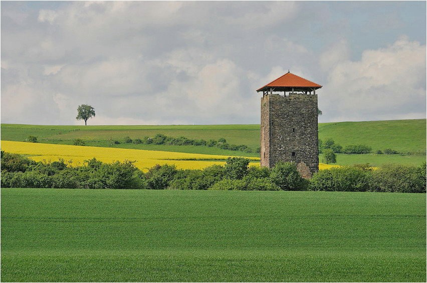 ... in den Feldern