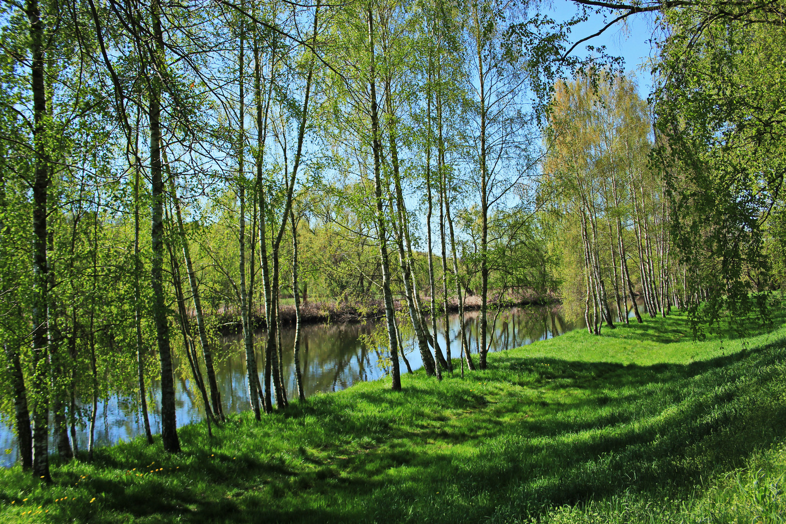 In den Flussauen 