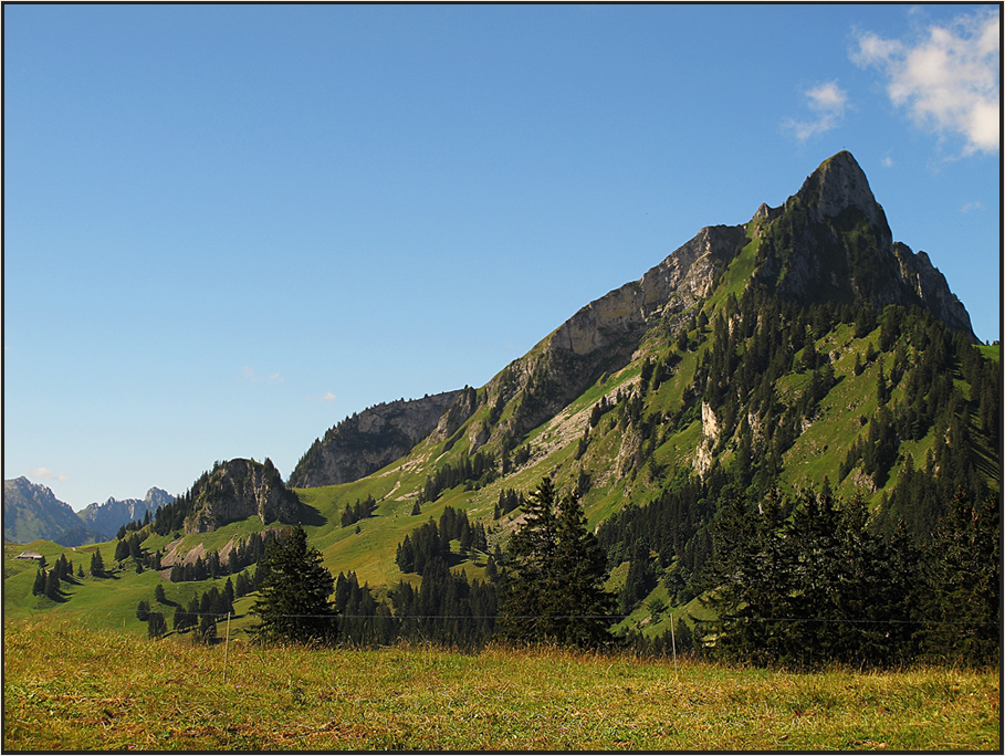 In den Freiburger Alpen...