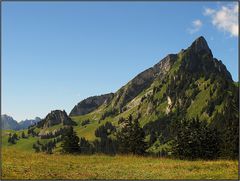 In den Freiburger Alpen...