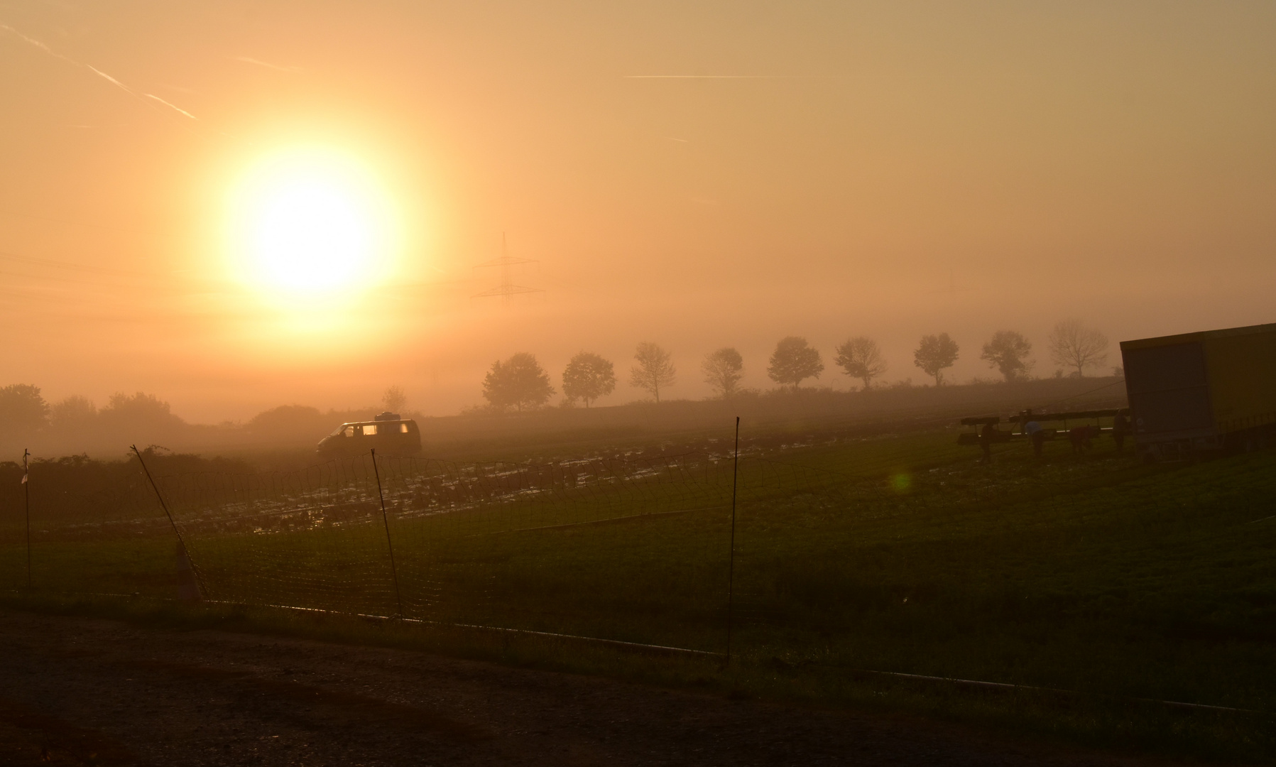 In den frühen Morgenstunden .....