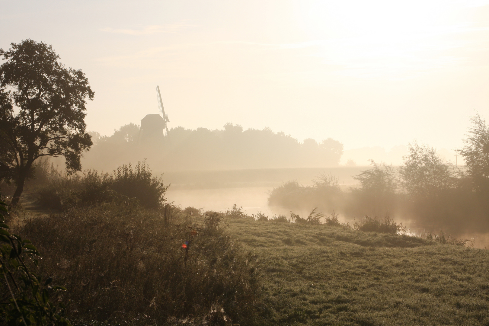 In den frühen Morgenstunden