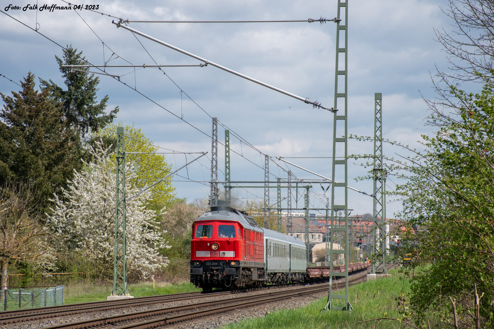 In den Frühling