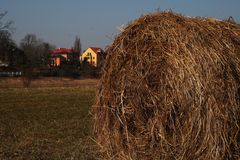 in den frühling blinzeln