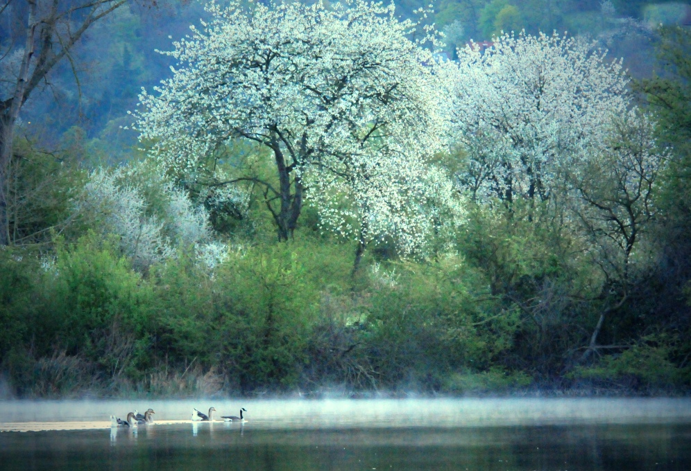 in den frühling schwimmen