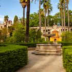 in den Gärten des Real Alcázar in Sevilla - Jardin de la Danza