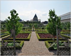 In den Gärten von Villandry II