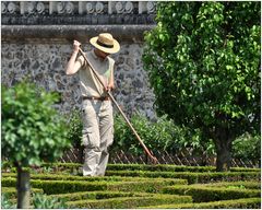 In den Gärten von Villandry IV