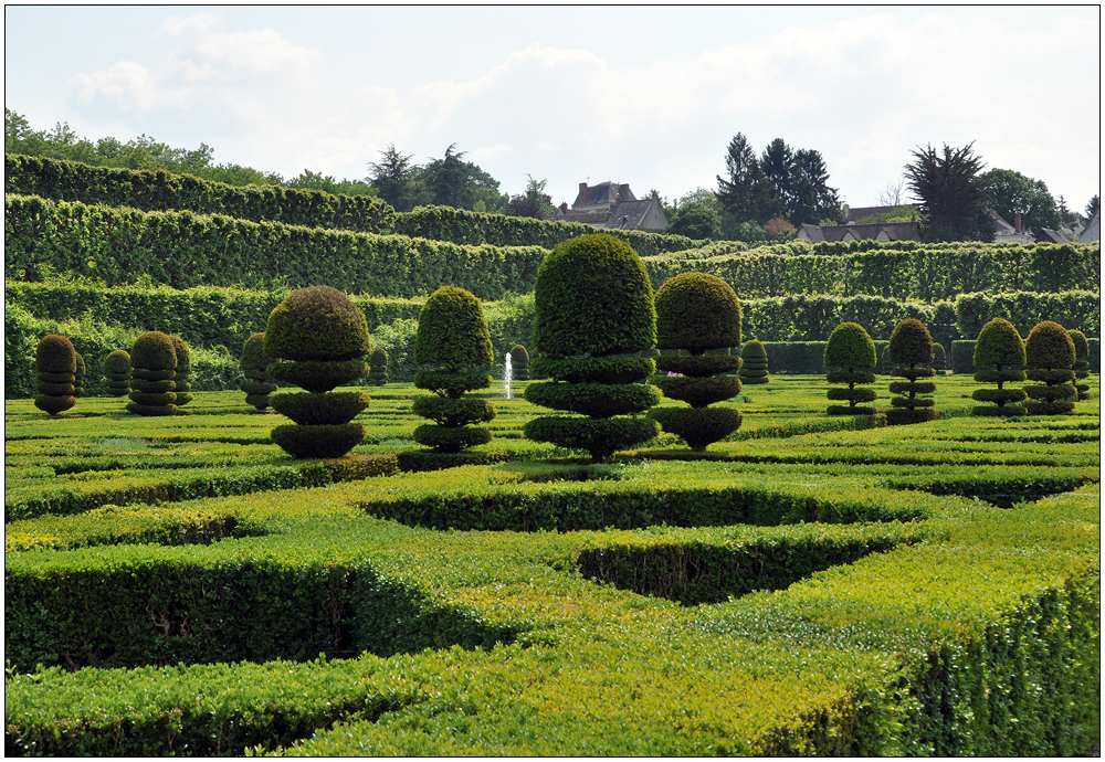 In den Gärten von Villandry VI