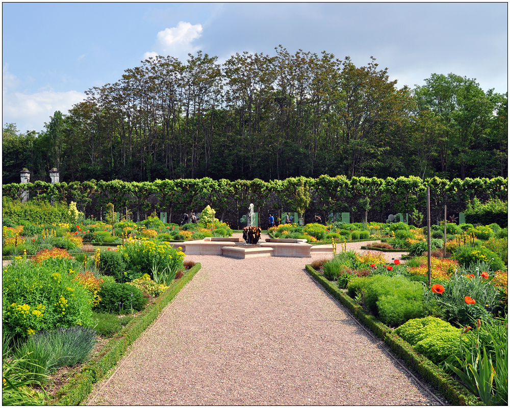 In den Gärten von Villandry VII