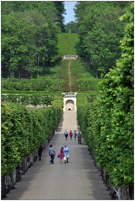 In den Gärten von Villandry XIII