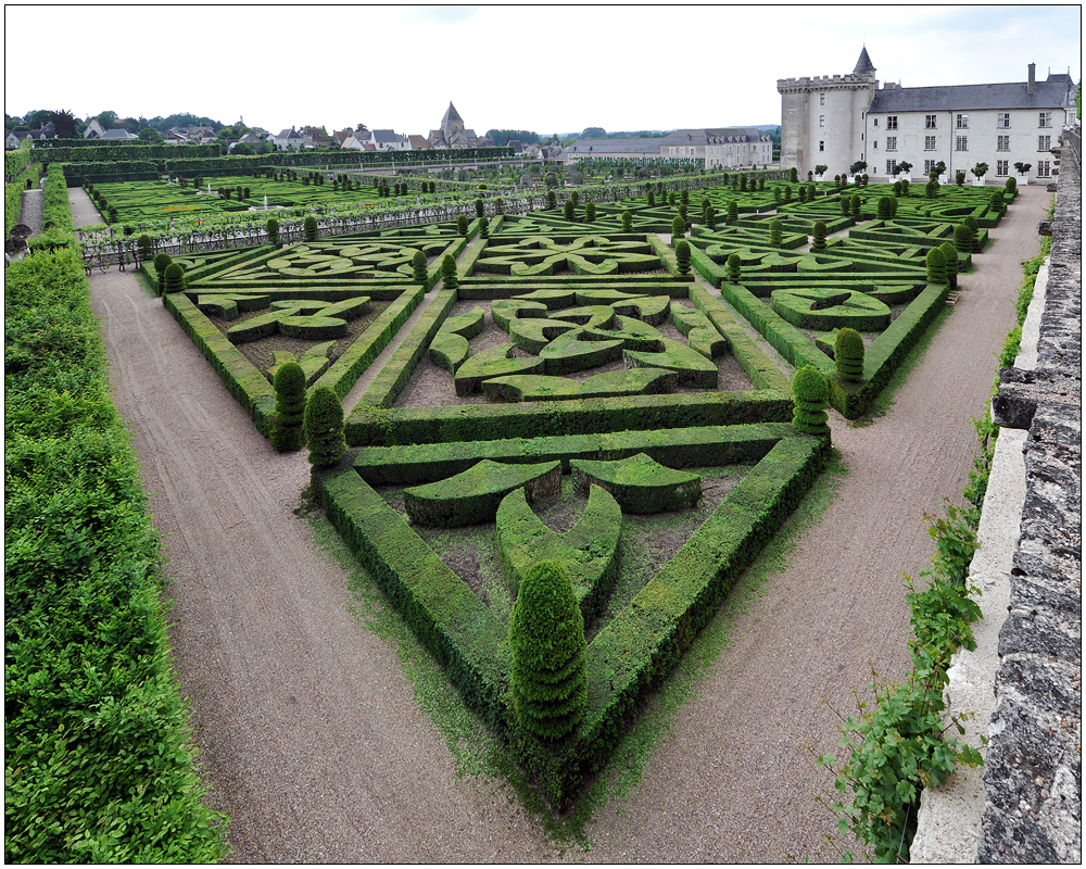 In den Gärten von Villandry XIV