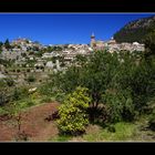 in den Gärten vor Valldemossa