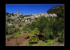 in den Gärten vor Valldemossa