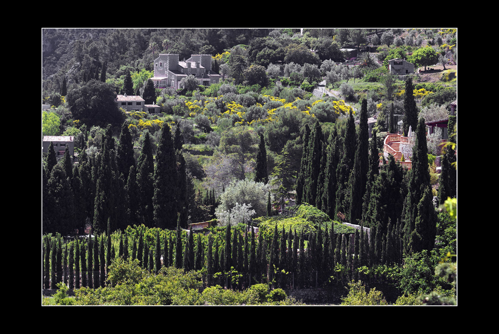 in den Gärten vor Valldemossa II