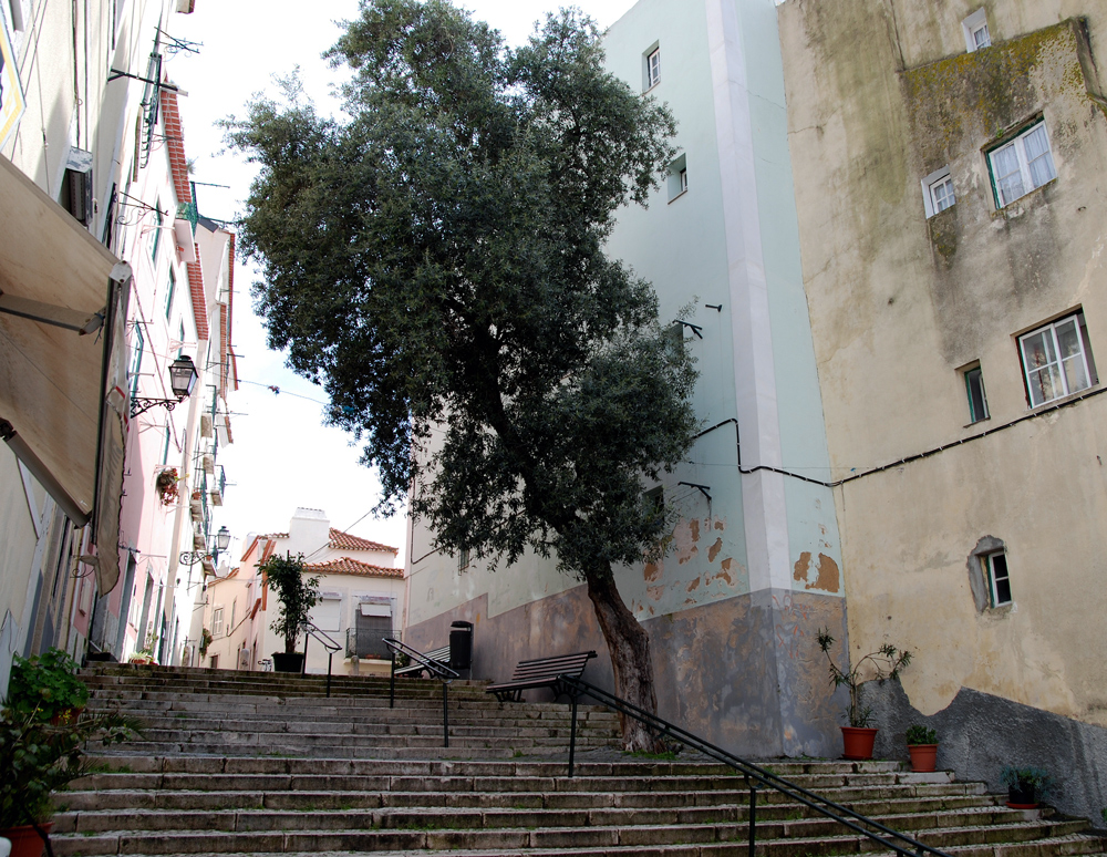 In den Gassen der Alfama...(1)