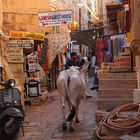 in den Gassen Jaisalmer Rathastan, Indien