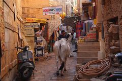 in den Gassen Jaisalmer Rathastan, Indien