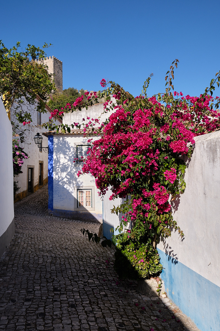 In den Gassen von Obidos