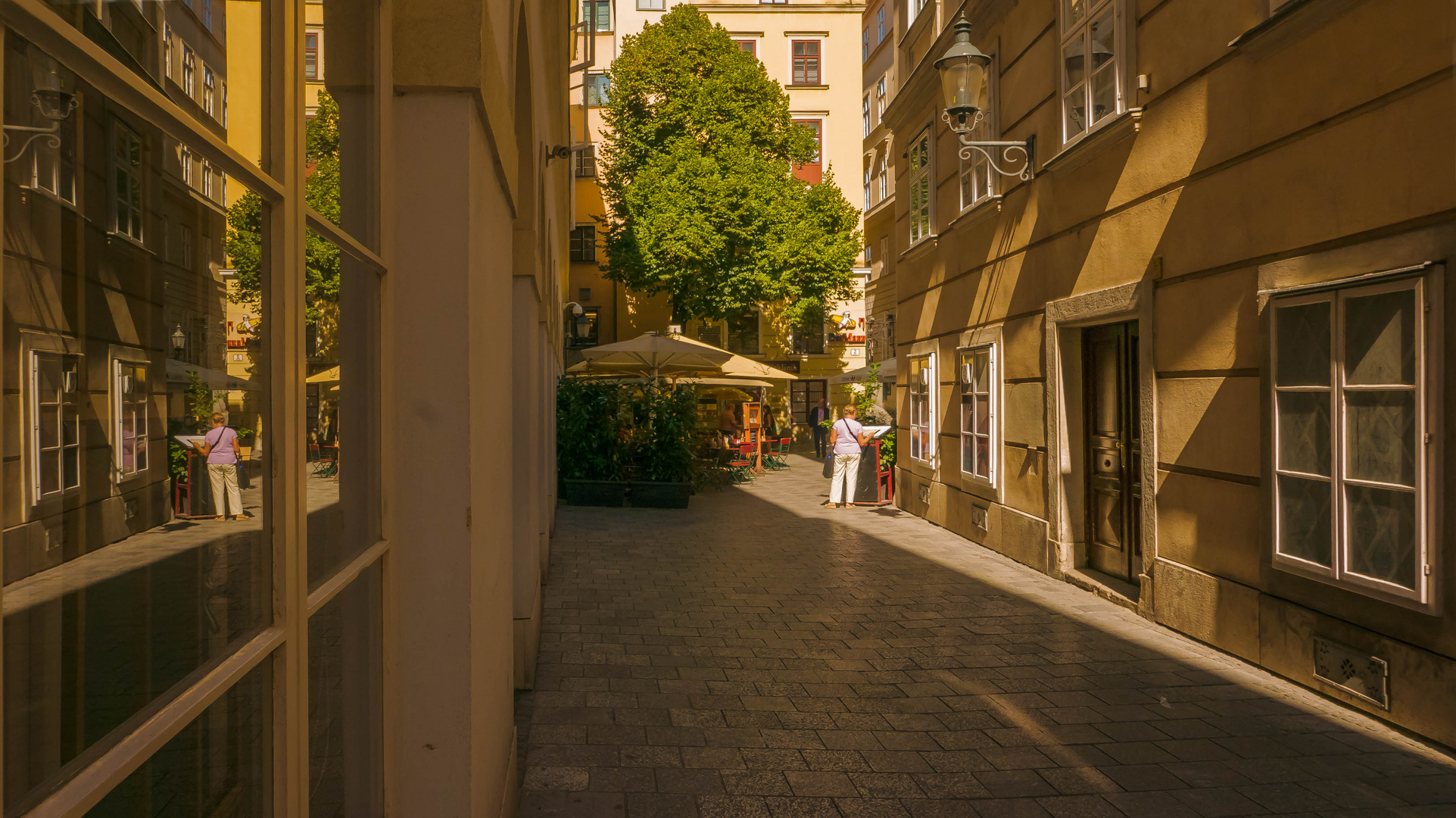 In den Gassen von Wien (150) 