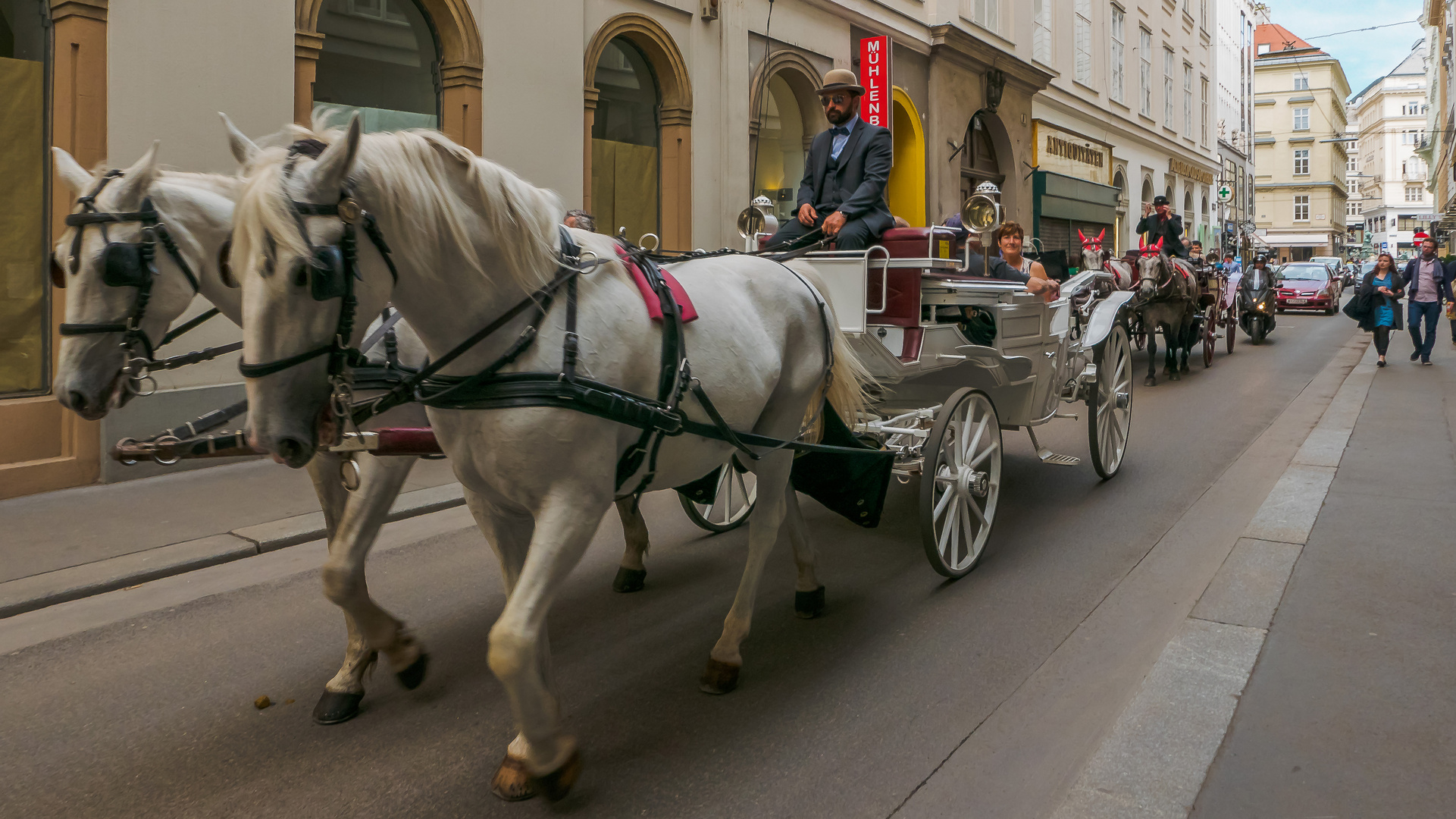 In den Gassen von Wien (166) 