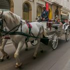 In den Gassen von Wien (166) 