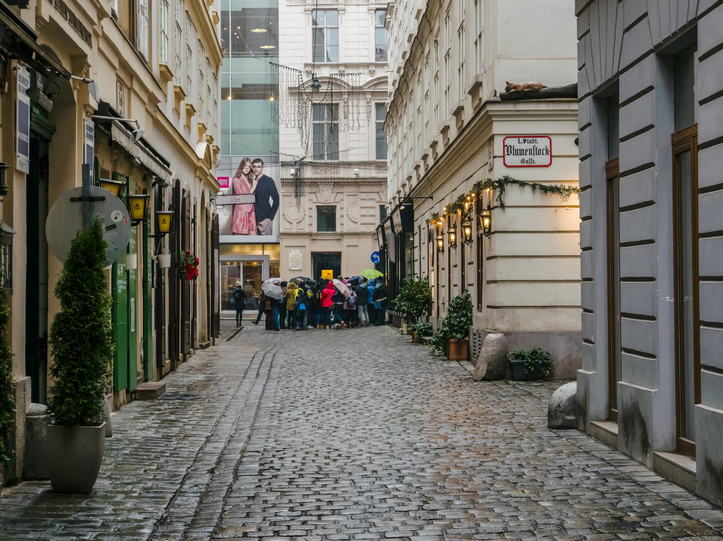 In den Gassen von Wien (200) 