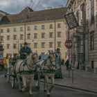 In den Gassen von Wien (224) 