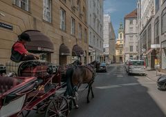 In den Gassen von Wien (23)