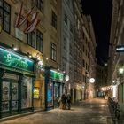 In den Gassen von Wien (239)