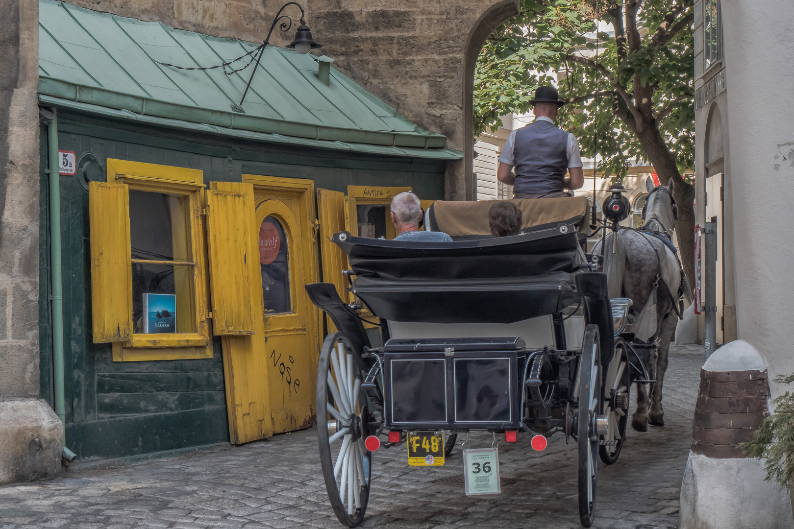 In den Gassen von Wien (241)