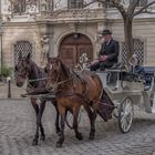 In den Gassen von Wien (250)