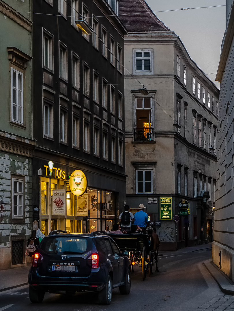 In den Gassen von Wien (49)