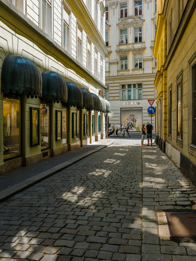 In den Gassen von Wien (81)