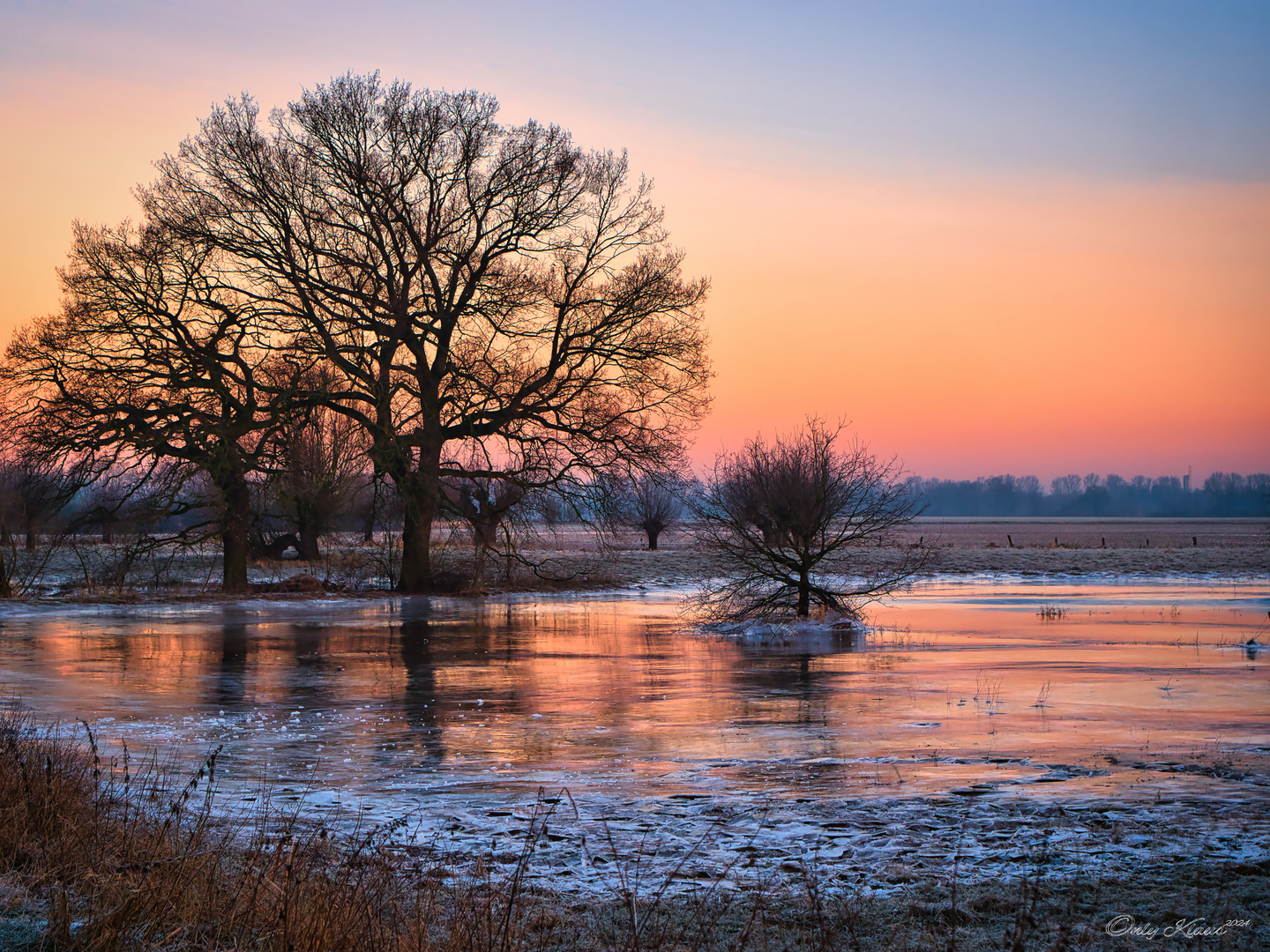 In den gefrorenen Rheinauen vor Sonnenaufgang