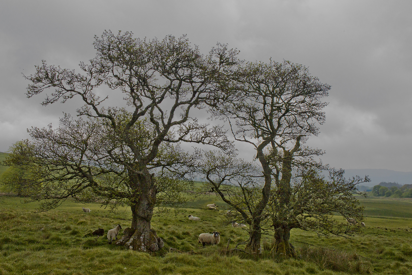 In den Grampian Mountains