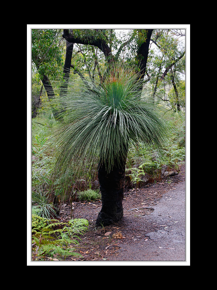 In den Grampians 04