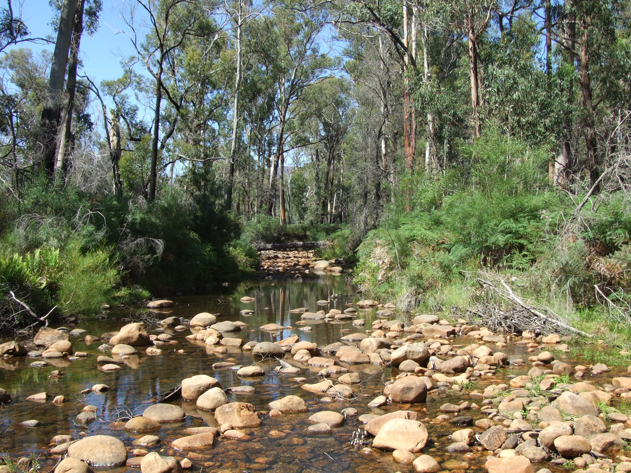 in den Grampians