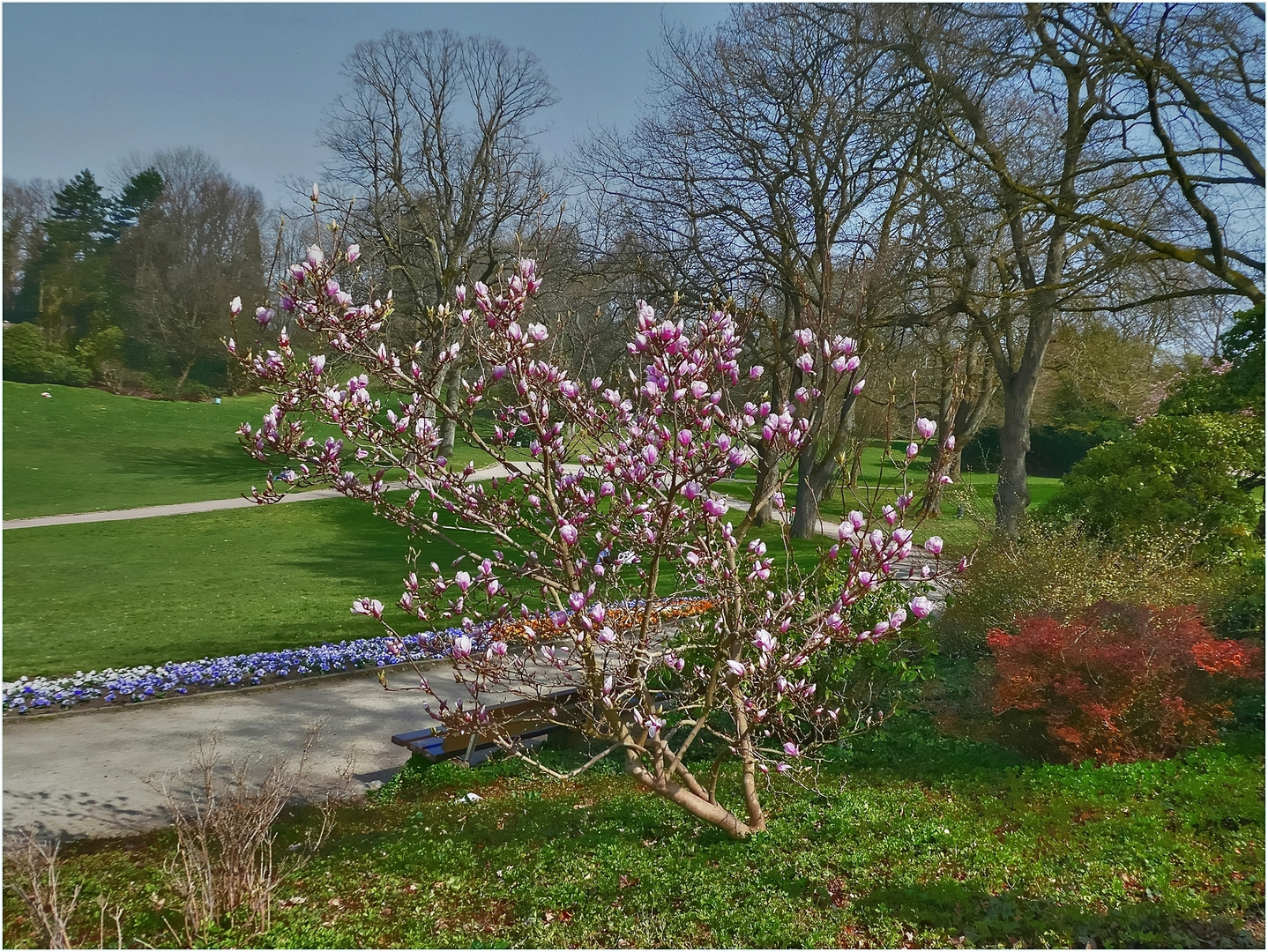 In den Hardt-Anlagen 