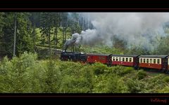 In den Harz