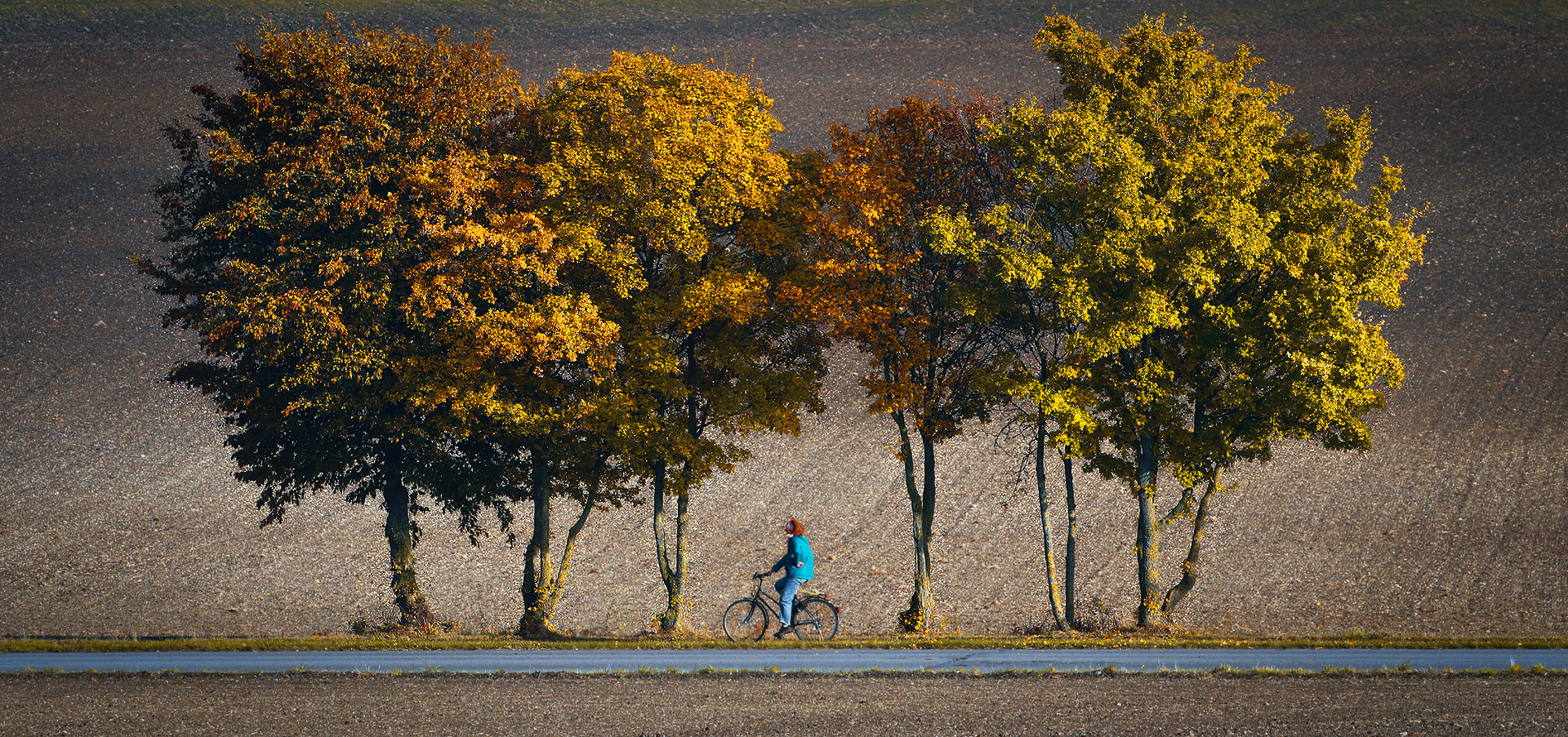 In den Herbst radeln . . .