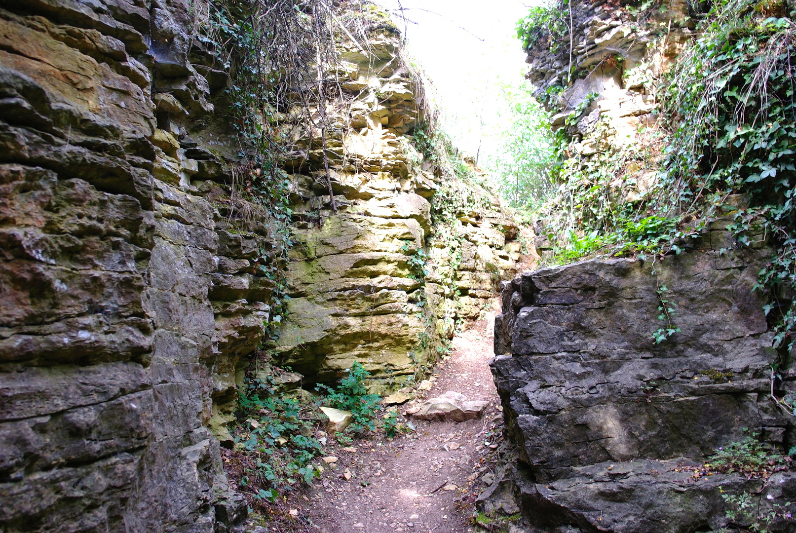 In den Hessigheimer Felsengärten