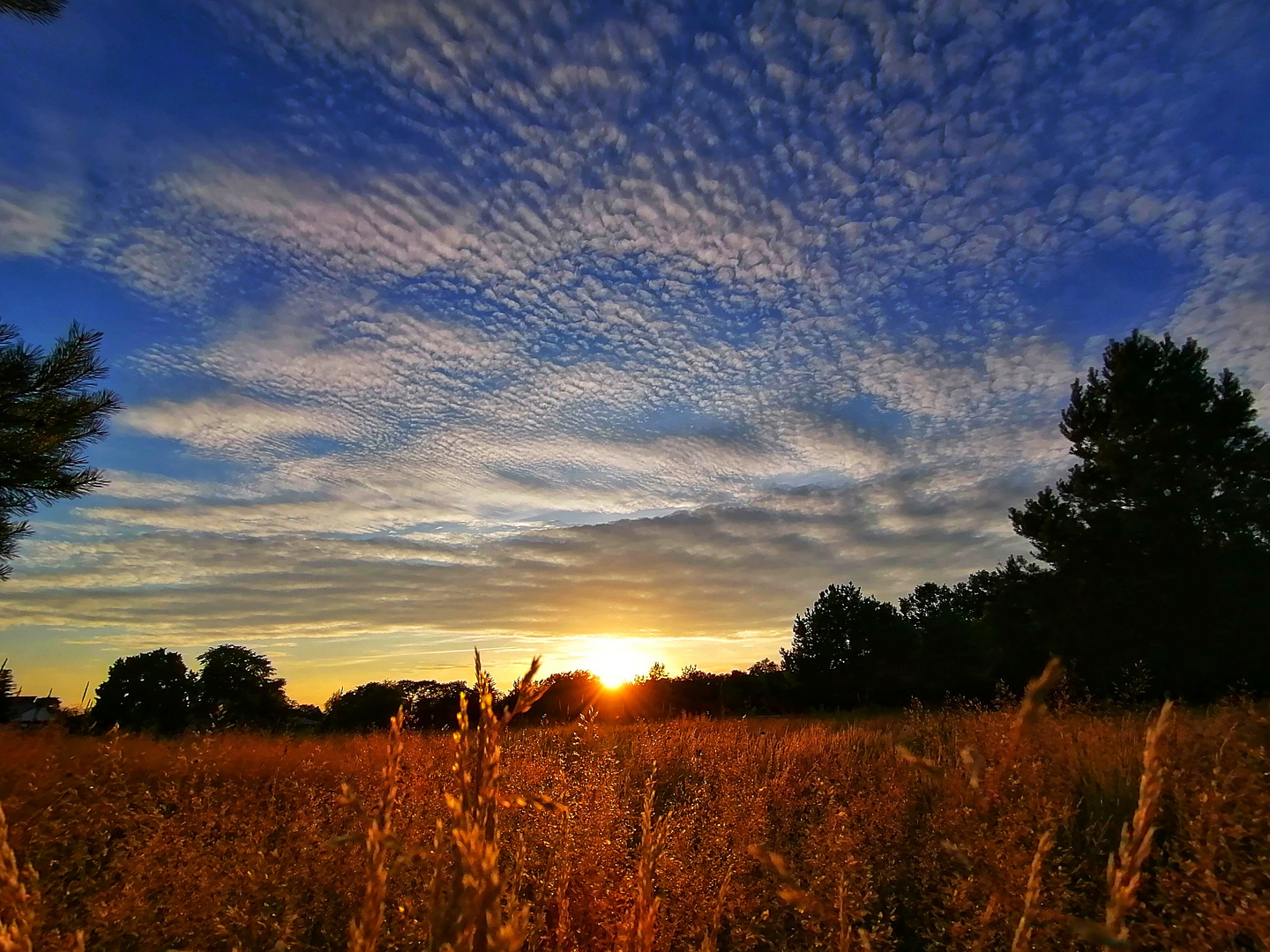 In den Himmel getupft